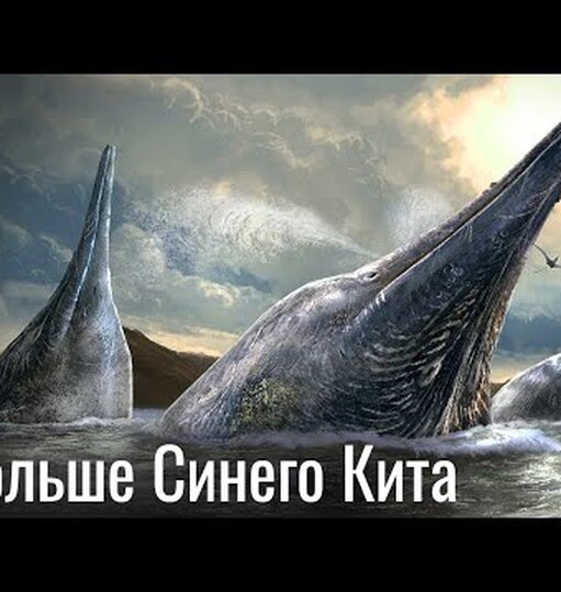 Нажми и смотри
