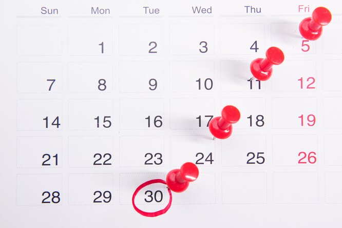 Как мы отдыхаем в 2023 году: календарь праздничных и выходных дней