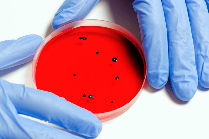 Чем опасна новая «ужасающая мутация» коронавируса омикрон для человечества?
