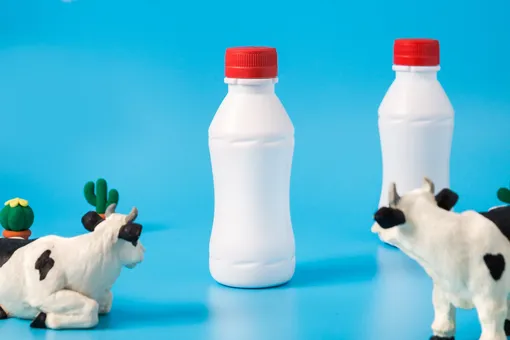 Правда ли, что молочные продукты сокращают жизнь?