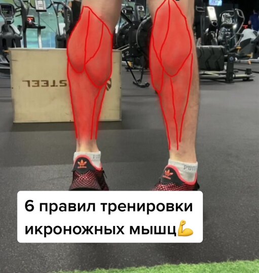 ��������� ��������� ������: ����.