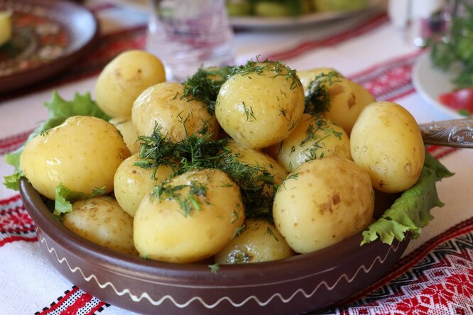 В чем польза картофеля для вашего здорового рациона: 5 основных причин