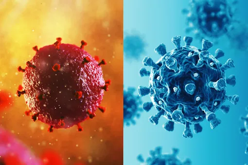 Что общего между пандемиями СПИДа и COVID-19?