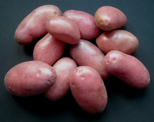 розовый картофель