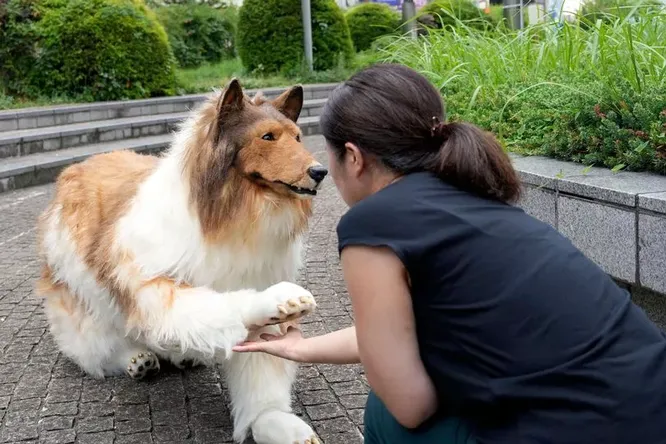 Мужчина, который потратил 1,5 миллиона рублей, чтобы выглядеть как собака,  жалуется, что другие псы не ходят играть с ним в парке