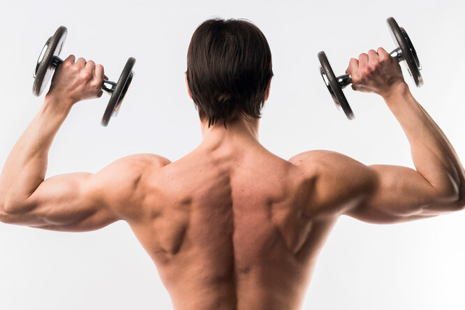 Эффективное упражнение на мышцы спины для мужчин старше 40