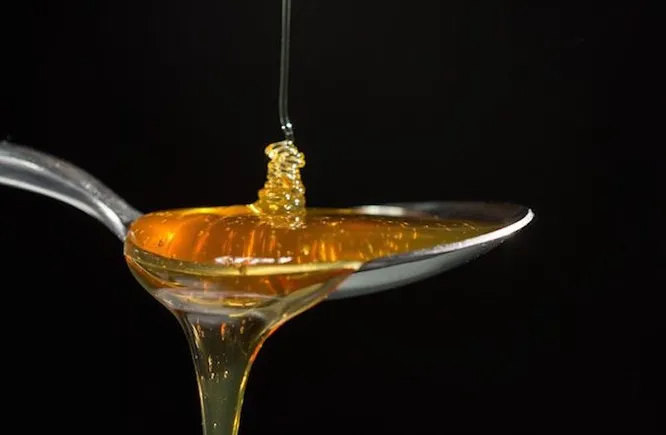 Исчезнет мёд. Продукт, который человечество собирало около 9 тысячелетий. Он служит нам не только для еды, но и как косметическое и медицинское средство. Потеряв пчёл мы, очевидно, лишимся одного из самых полезных и универсальных продуктов на планете.
