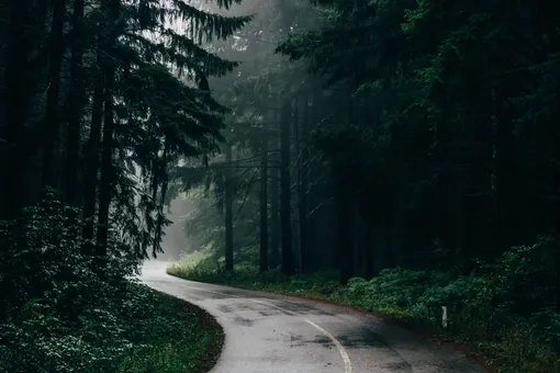 Чем пахнет воздух после дождя?