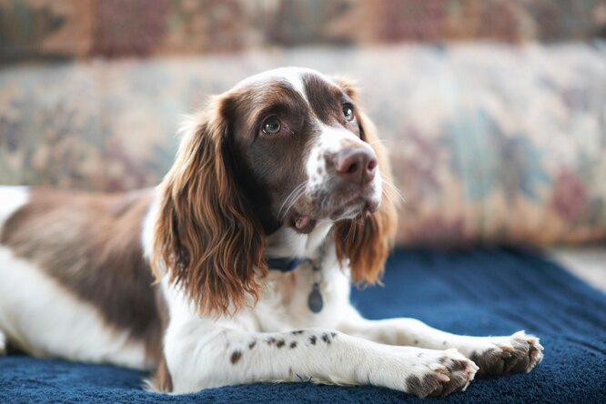 Проблемы с дыхательной системой