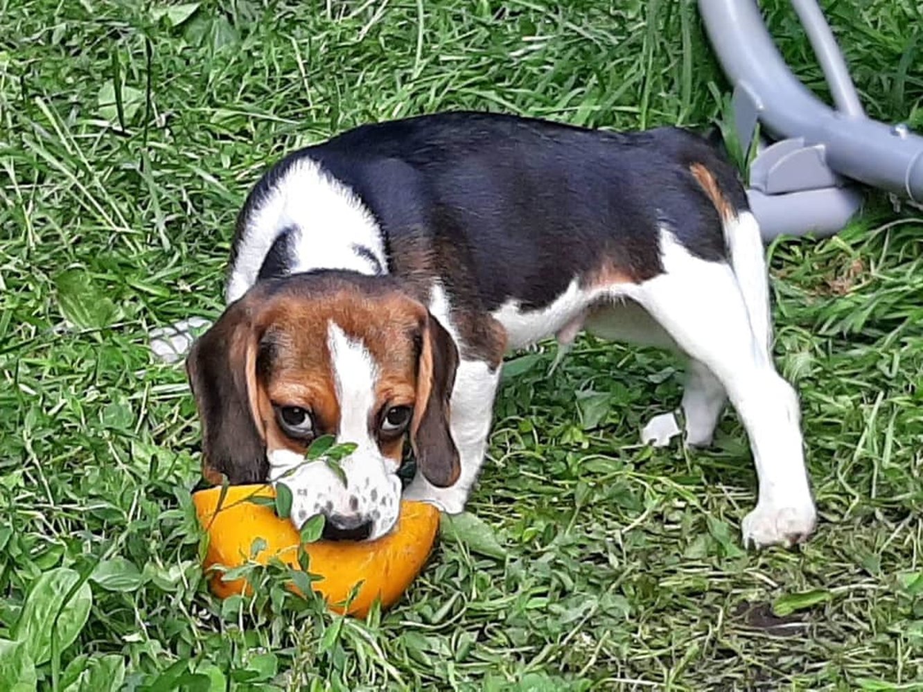 Простые советы