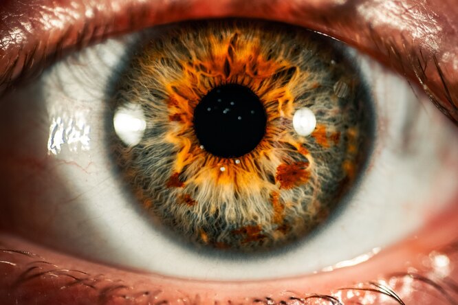 Как цвет глаз влияет на зрение: разбираем на примере карих и голубых глаз