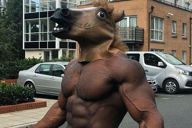 ���� ������� �������: ����.