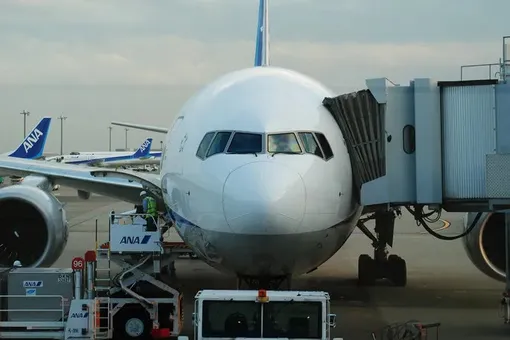 Почему пассажиры самолета садятся в него всегда с левой стороны?