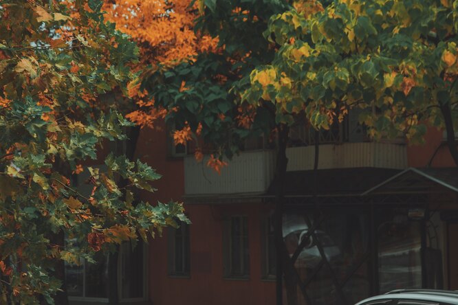 Как грамотно переезжать через «лежачий полицейский»?