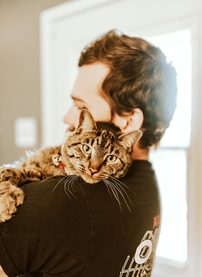 Как кошки выражают свою любовь к хозяину
