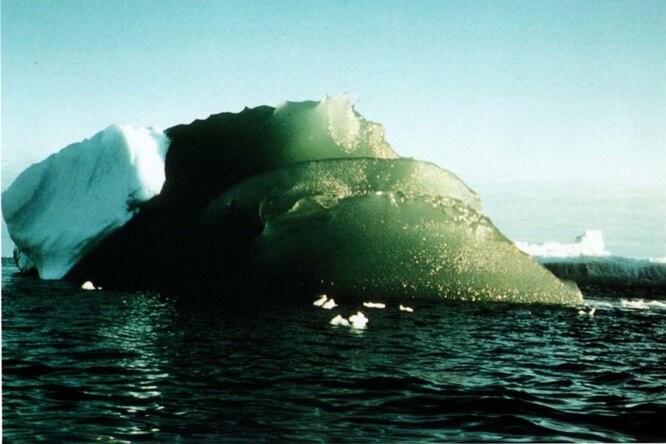 Почему лед в Антарктиде зеленеет и стоит ли этого опасаться?