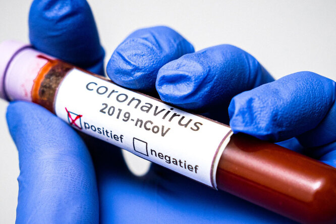 Как долго коронавирус живет на унитазах, дверных ручках и других предметах