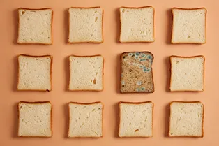 Хлеб с плесенью: это не то же самое, что и сыр с плесенью — будут проблемы со здоровьем. Видео