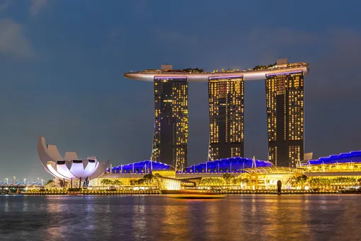 Сингапур не только одна из самых богатых стран, но и едва ли не самая маленькая. Она входит в топ-20 самых миниатюрных государств и занимает площадь 728 км².