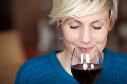 Как выбрать вино под гарнир
