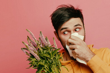 Держитесь подальше: на какие домашние растения чаще всего бывает аллергия?