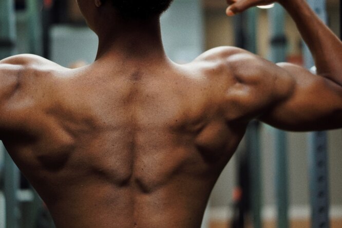 Как увеличить силу и нарастить мышцы без тренажерного зала: всего 3 упражнения, которые изменят ваше тело