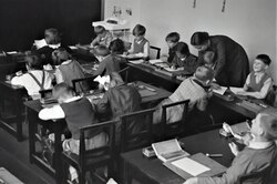Какие школьные предметы больше не будут обязательными: вы о таком и не мечтали