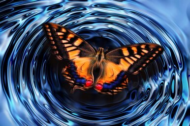 Что такое «эффект бабочки» и существует ли он на самом деле?