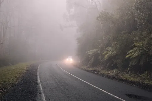 Как безопасно ездить за рулем в сильном тумане?