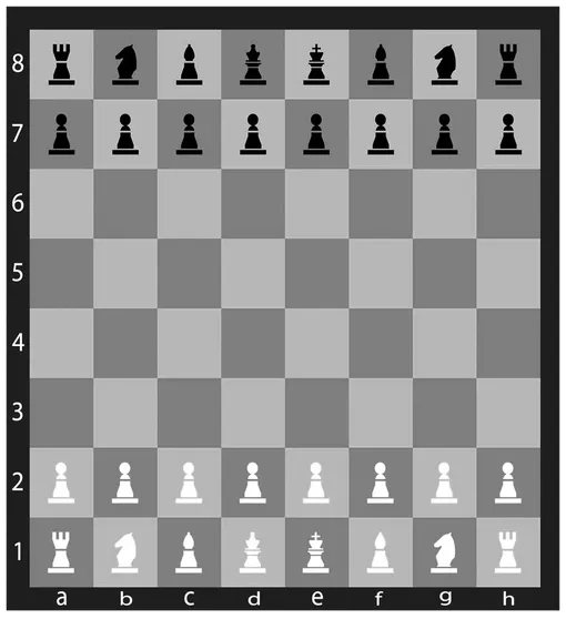 Шахматная доска — это театр военных действий, на котором шахматисты ведут баталии. Большой квадрат делится на 64 клетки: 32 — белых, 32 — черных.