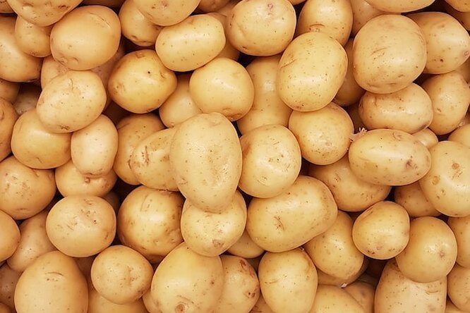 Какой картофель может быть опасен для здоровья: все, чего вы не знали об этом популярном продукте