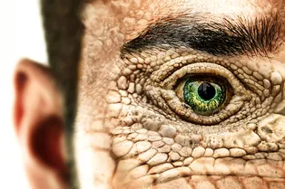 Пришельцы среди нас: откуда мир узнал про рептилоидов и как они «попали» в политику?
