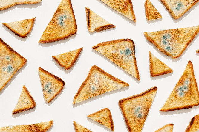 Мясные продукты