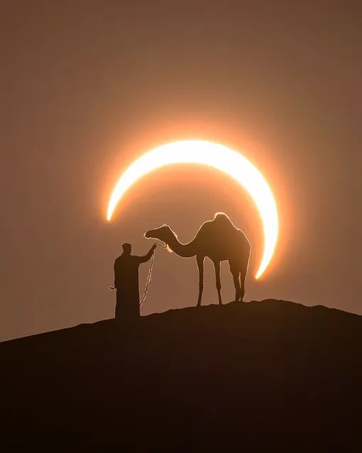 Фотография Джошуа Крипса (Joshua Cripps), сделанная в пустыне на территории ОАЭ