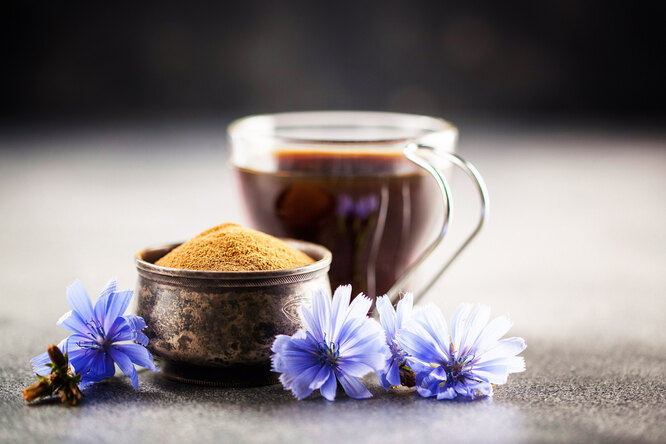 Может ли напиток из цикория заменить натуральный кофе?