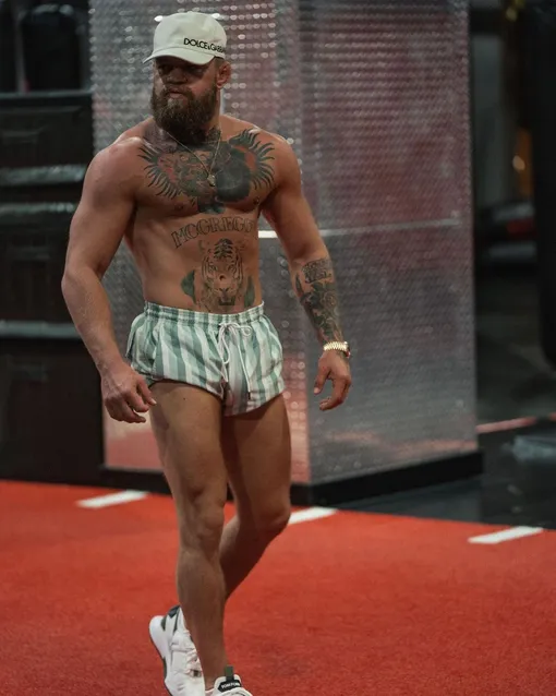 thenotoriousmma/Instagram (Социальная сеть признана экстремистской и запрещена на территории Российской Федерации)