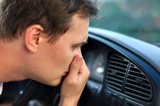 Насколько безопасны автомобильные ароматизаторы?