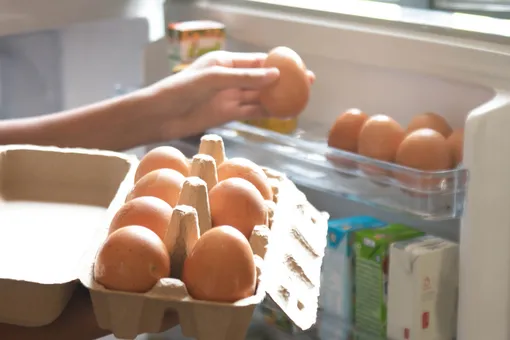 Как надо хранить еду в холодильнике: инструкция