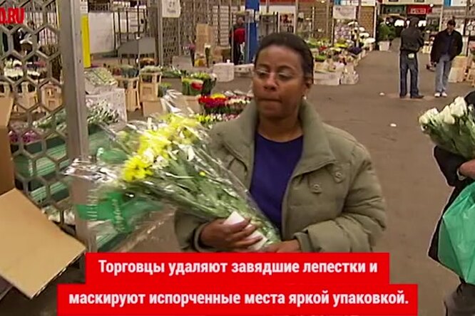 Чего хотят женщины: какие цветы подарить к 8 марта
