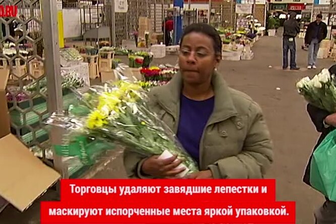 Чего хотят женщины: какие цветы подарить к 8 марта Чего хотят женщины: какие цветы подарить к 8 марта