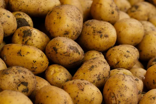 В TikTok предложили лечиться соком сырого картофеля: эксперты предупредили об опасности