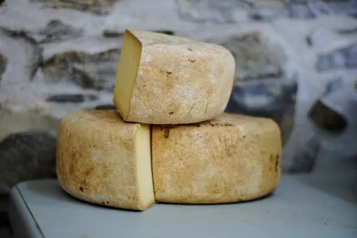 Как выглядит и сколько стоит качественный сыр? Названа точная стоимость за 1 кг