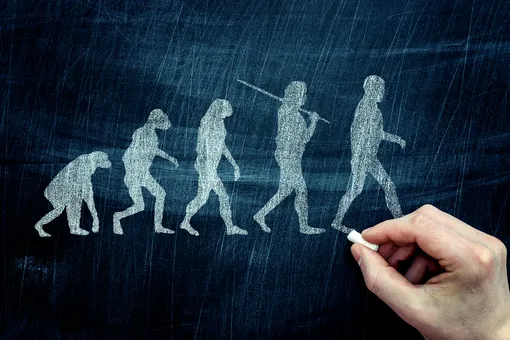 Как менялось тело человека за длительный период эволюции