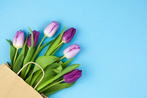 Тюльпаны – классический весенний цветок, они могут стать отличным подарком для вашей мамы на 8 марта.