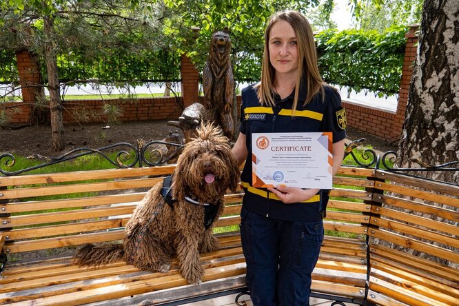 Украинская собака-психолог получила официальный сертификат терапевта