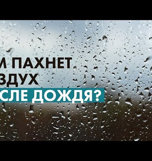 Нажми и смотри