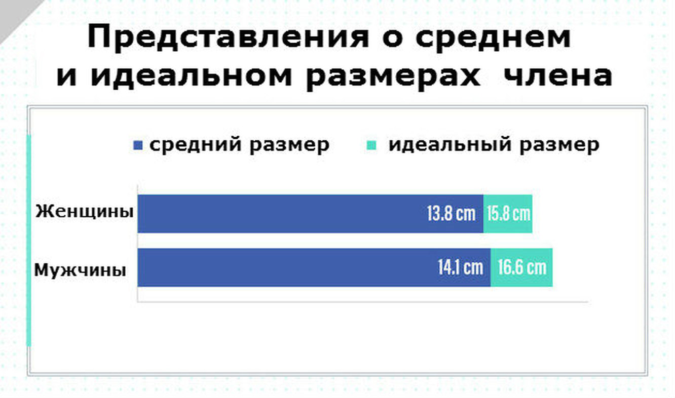 Редкость в россии. Средний размер мужского. Средняя длина мужского полового органа. Средняя величина мужского органа. Средний статистический размер мужского органа.