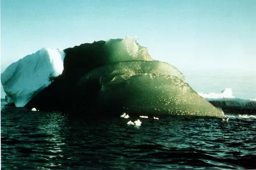 Откуда в Антарктиде зеленые айсберги?