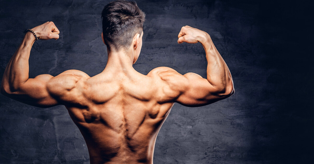 �������� ����� ���� ������� �������������: ����.