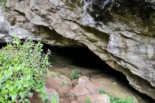 Та самая «слоновья пещера» в Кении, которая уже несколько десятков лет беспокоит вирусологов и ученых по всему миру